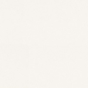 Keramika Davidovic PS40 White Micro 39,8×119,8 NT098-001-1